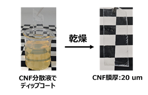 CNF添加による樹脂への複屈折付与とCNFフィルム作製例。透明性のイメージ