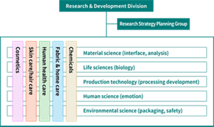 Diagram showing Kao's comprehensive development capabilities