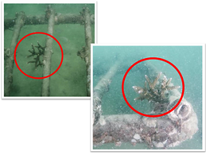 Measures_to_Contribute_to_Society_image3-2