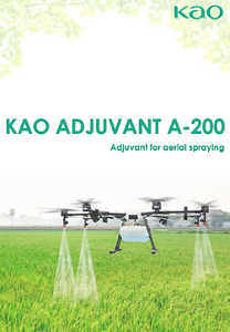 PI_KAOADUVANTA-200_EN