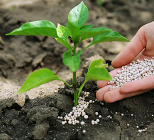 agrochemicals04