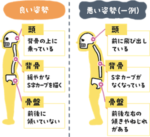 悪い姿勢と良い姿勢の図解