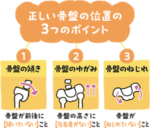 正しい骨盤の位置の3つのポイント 1.骨盤の傾き 2.骨盤のゆがみ 3.骨盤のねじれ