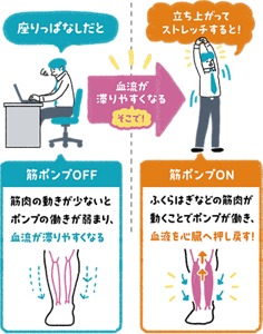 座りっぱなしで筋ポンプの働きが弱まり血流が滞る状態と、立ち上がってストレッチし血流を心臓へ押し戻す状態を比べた図