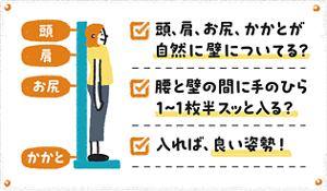 壁に背をつけて頭・肩・お尻・かかとの4点がつくかを確かめる、良い姿勢のセルフチェック図