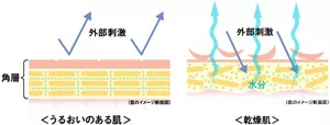 外部刺激と肌との関係を示したイメージイラスト(潤いのある肌と乾燥肌との違い)