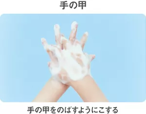 手の甲 手の甲をのばすようにこする