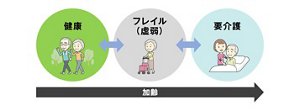 フレイルの概念イメージ図
