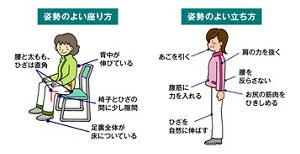姿勢のよい座り方、姿勢のよい立ち方のイメージ