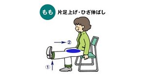 もも:片足上げ・ひざ伸ばしのイメージ
