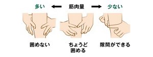 筋肉量の判断イメージ。 ふくらはぎが囲めないと筋肉量が多く、囲んですき間ができると筋肉量は少ない。