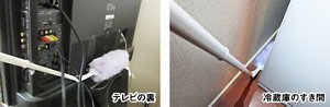 テレビの裏、冷蔵庫のすき間の写真