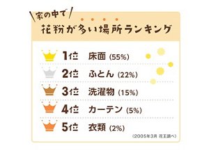 家の中で花粉が多い場所ランキングの図(2005年3月 花王調べ)