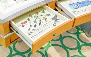 多様な種類が存在する昆虫の展示