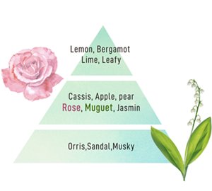 香りのピラミッド