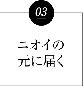 03 ニオイの元に届く