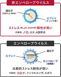 非エンベロープウイルス ストレス(熱、pH、EtOH等)耐性が高い 代表例: ノロ、ロタ、A型肝炎 エンベロープウイルス 比較的ストレス耐性が低い 代表例: コロナ、インフルエンザ、エボラ