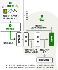 感染経路と感染の流れを表す図。感染源となる細菌やウイルス等が人の体内に入り込み、体内で増殖し発症するまでの過程を説明している。