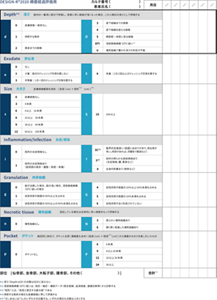 DESIGN-R®2020 褥瘡経過評価用のイメージ