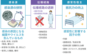 感染の3要素を表した図。〈感染源の排除〉観戦の原因となる細菌やウイルスを含んでいるもの:・血液、体液、分泌物(喀痰、膿など) ・排泄物(吐瀉物、便、尿など) ・使用した機器、機材 〈伝播経路〉・接触感染 ・飛沫感染 ・空気感染 〈感受性宿主の抵抗力向上〉感受性に影響する因子の例:・年齢 ・基礎疾患/免疫状態 ・医療処置:侵襲的な治療 ・薬物:ステロイド、抗生物質 ・栄養状態