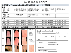 手と皮膚の評価スコアの画像。