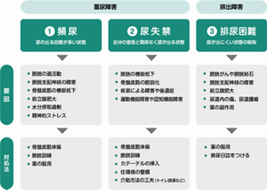 主な3つの排尿障害を表した図。一つ目の頻尿とは、尿の出る回数が多い状態。要因:・膀胱の過活動 ・膀胱支配神経の障害 ・骨盤底筋の機能低下 ・前立腺肥大 ・水分摂取過剰 ・精神的ストレス 対処法:・骨盤底筋体操 ・膀胱訓練 ・薬の服用 2つ目の尿失禁とは、自分の意志と関係なく尿が出る状態。要因:・膀胱の機能低下 ・骨盤底筋の機能低下 ・疾患による障害や後遺症 ・運動機能障害や認知機能障害 対処法:・骨盤底筋体操 ・膀胱訓練 ・カテーテルの挿入 ・住環境の整備 ・介助方法の工夫(トイレ誘導など) 3つ目の排尿困難とは、尿が出にくい状態の総称。要因:・膀胱がんや膀胱結石 ・膀胱支配神経の障害 ・前立腺肥大 ・尿道内の傷、尿道腫瘍 ・薬の副作用 対処法:・薬の服用 ・排尿日誌をつける 「頻尿」「尿失禁」の2つは蓄尿障害に、「排尿困難」は排出障害に分類される。