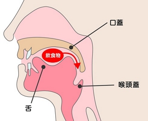飲食物が舌と口蓋に挟まれたとき、そのまま喉の奥に運ばれることを表した図。