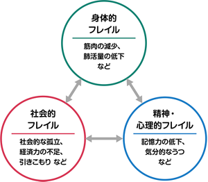 3つのフレイルを表した図。「身体的フレイル」、「精神・心理的フレイル」、「社会的フレイル」が互いに矢印を指し合っている。身体的フレイルとは、筋肉の減少、肺活量の低下などが生じている状態。精神・心理的フレイルとは、記憶力の低下、気分的なうつなどが生じている状態。社会的フレイルとは、社会的な孤立、経済力の不足、引きこもりなどの状態。