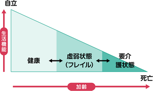 加齢に伴う生活機能の低下と、フレイルの位置づけを表した図。生活機能が高く、加齢が進んでいないほど「健康」で、加齢が進み生活機能が下がるほどに「要介護状態」となる。「フレイル」は「健康」と「要介護状態」の間に位置する。