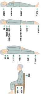 褥瘡発生の危険性が高い骨突出部位を表すイラスト。〈仰臥位(仰向け)の場合〉後頭部、肩甲部、仙骨部、かかとがベッドや布団に接している。〈側臥位(横向き)の場合〉耳、肩、ひじ、腸骨、ひざ、くるぶしがベッドや布団に接している。〈腹臥位(うつ伏せ)の場合〉耳、肩峰突起部、乳房(女性の場合)、性器(男性の場合)、ひざ、つま先がベッドや布団に接している。〈座位(着席)の場合〉背部、尾骨、坐骨が椅子に接している。