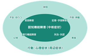 認知症の主な症状を表した図。〈認知機能障害(中核症状)〉言語障害、記憶・学習障害、遂行機能障害、失効・失認 〈行動・心理症状(周辺症状)〉幻覚、不安・抑うつ、徘徊、不穏・興奮、異食