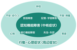 認知症の主な症状を表した図。〈認知機能障害(中核症状)〉言語障害、記憶・学習障害、遂行機能障害、失効・失認 〈行動・心理症状(周辺症状)〉幻覚、不安・抑うつ、徘徊、不穏・興奮、異食