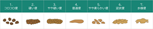 ブリストルスケールの表