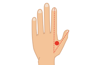 合谷の位置を示したイラスト