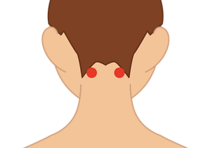 天柱の位置を示したイラスト