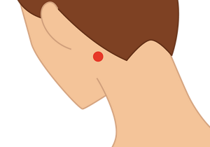 安眠の位置を示したイラスト