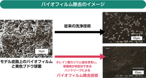バイオフィルム除去のイメージ図。従来の洗浄技術に比べ、オレイン酸カリウム塩を含有し殺菌剤が未配合であるハンドソープによるバイオフィルム除去技術で、よりバイオフィルムが除去されていることがわかる。