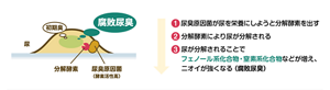 〈腐敗尿臭の発生メカニズムのイメージ〉①尿臭原因菌が尿を栄養にしようと分解酵素を出す。 ②分解酵素により尿が分解される。 ③尿が分解されることで、フェノール系化合物・窒素系化合物などが増え、ニオイが強くなる(腐敗尿臭)