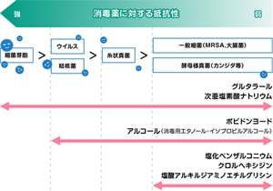 微生物の消毒薬抵抗性の強さ、および消毒薬の抗菌スペクトルを表した図。消毒薬に対する抵抗性が強い順に、細菌芽胞、ウイルス・結核菌、糸状真菌、MRSAや大腸菌などの一般細菌、カンジダ等の酵母様真菌が並んでいる。 次亜塩素酸ナトリウムなどの消毒薬は、一般細菌、酵母様真菌から細菌芽胞まで広く有効。 次に広いスペクトルを示すのは、ポビドンヨードやアルコール(消毒用エタノール・イソプロピルアルコール)で、一般細菌、酵母様真菌からウイルス・結核菌まで有効。 塩化ベンザルコニウム、クロルヘキシジン、塩酸アルキルジアミノエチルグリシンなどの低水準消毒薬は、一般細菌、酵母様真菌に有効。