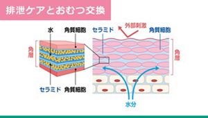 排泄ケアとおむつ交換