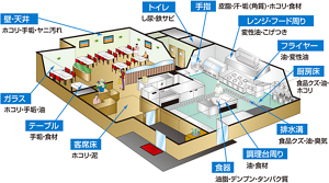 レストランを例にした施設整備の汚れを示すイラスト。【壁・天井】ホコリ・手垢・ヤニ汚れ 【トイレ】し尿・鉄サビ 【手指】皮脂・汗・垢(角質)・ホコリ・食材 【レンジ・フード周り】変性油・こげつき 【フライヤー】油・変性油 【厨房床】食品クズ・油・ホコリ 【排水溝】食品クズ・油・臭気 【調理台周り】油・食材 【食器】油脂・デンプン・タンパク質 【客席床】ホコリ・泥 【テーブル】手垢・食材 【ガラス】ホコリ・手垢・油