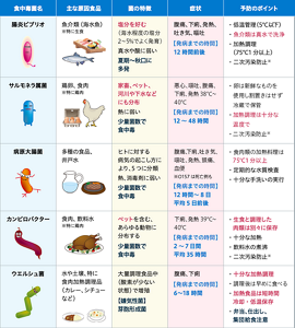細菌性感染型食中毒の表。 〈腸炎ビブリオ〉 主な原因食品:魚介類(海水魚)※特に生食 菌の特徴:塩分を好む(海水程度の塩分2~5%でよく発育)。真水や酸に弱い。夏期~秋口に多発。 症状:腹痛、下痢、発熱、吐き気、嘔吐 発病までの時間:12時間前後 予防のポイント:・低温管理(5℃以下)・魚介類は真水で洗浄・加熱調理 (75℃1分以上)・二次汚染防止(※) 〈サルモネラ属菌〉 主な原因食品:鶏卵、食肉 ※特に鶏肉 菌の特徴:家畜、ペット、河川や下水などにも分布。熱に弱い。少量菌数で食中毒。 症状:悪心、嘔吐、腹痛、下痢、発熱38℃~40℃ 発病までの時間:12~48時間 予防のポイント:・卵は新鮮なものを使用し割置きはせず冷蔵で保管・加熱調理は十分な温度で・二次汚染防止(※) 〈病原大腸菌〉 主な原因食品:多種の食品、井戸水 菌の特徴:ヒトに対する病気の起こし方により、5つに分類。 症状:腹痛、下痢、吐き気、嘔吐、頭痛、血便 ※O157 は死亡例も 発病までの時間:12時間~8日 平均5日前後 予防のポイント:・食肉類の加熱調理は75℃1分以上・定期的な水質検査・十分な手洗いの実行 〈カンピロバクター〉 主な原因食品:食肉 ※特に鶏肉、飲料水 菌の特徴:ペットを含む、あらゆる動物に分布する。少量菌数で食中毒。 症状:下痢、発熱39℃~40℃ 発病までの時間:2~7日間 平均35時間 予防のポイント:・生食と調理した肉類は別々に保存・十分な加熱・飲料水の煮沸・二次汚染防止(※) 〈ウエルシュ菌〉 主な原因食品:水や土壌、特に食肉加熱調理品(カレー、シチューなど) 菌の特徴:大量調理食品中(酸素が少ない状態)で増殖。【嫌気性菌】芽胞形成菌 症状:腹痛、下痢 発病までの時間:6〜18時間 予防のポイント:・十分な加熱調理・調理後は早めに食べる・加熱食品は短時間冷却・低温保存・弁当、仕出し、集団給食注意