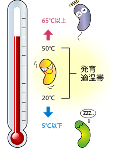 温度ごとの細菌の状態を表したイラスト。5度以下で細菌が休眠状態となり、約20~50度は発育適温帯で有害な細菌が増殖しやすく、65度以上で細菌が死滅する。