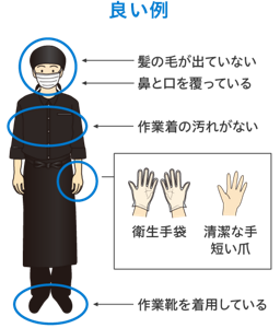 身だしなみの良い例のイラスト。髪の毛が帽子や頭巾から出ていない。鼻と口をマスクで覆っている。作業着の汚れがない。短い爪の清潔な手で、衛生手袋をしている。作業靴を履いている。