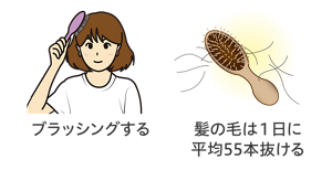 髪の毛をブラッシングしているイラスト。髪の毛は1日に平均55本抜ける。