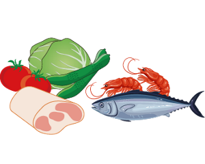 野菜、肉、魚などの原材料のイラスト。