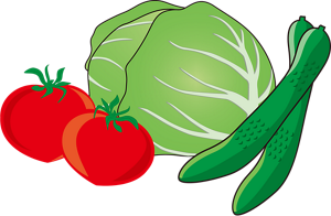 生野菜のイラスト