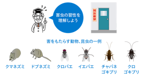 施設の出入り口を開放厳禁としている様子のイラストと、害をもたらす動物、昆虫の一例のイラスト。クマネズミ、ドブネズミ、クロバエ、イエバエ、チャバネゴキブリ、クロゴキブリなど。害虫の習性を理解しましょう。