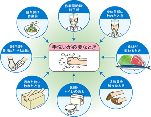 手洗いが必要なタイミングを表したイラスト。以下のタイミングで手洗いを行う必要がある。作業開始時・終了時、身体各部に触れたとき、食材が変わるとき、2枚貝を触ったとき、休憩・トイレのあと、汚れたものに触れたとき、衛生手袋を着けるとき・外したあと、盛り付け作業前。