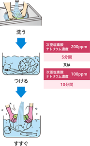 生野菜の正しい洗浄・殺菌の手順のイラスト。流水で洗い、次亜塩素酸ナトリウム濃度200ppmに5分、又は次亜塩素酸ナトリウム濃度100ppmに10分つけ、最後に流水ですすぐ。